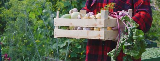 houten doos met groenten in handen. spandoek. oogst concept foto