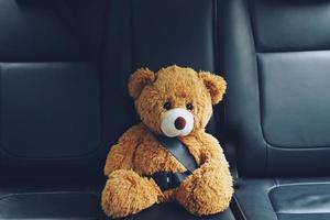 bruin teddy beer vervelend auto stoel riem foto