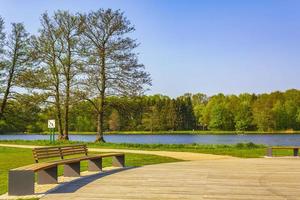 natuurlijk panorama visie meer traject groen planten bomen Woud duitsland. foto