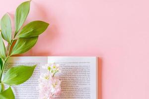 top visie van Open boek en roze matthiola incana of mathilda lavendel met ruscus takje Aan pastel roze achtergrond met kopiëren ruimte. foto