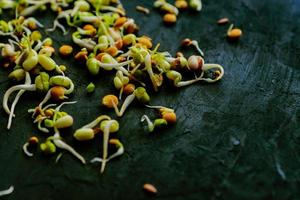 dichtbij omhoog van gekiemd linzen, bonen, mung Boon, erwten, radijs, vlas, zonnebloem Aan zwart achtergrond. veganistisch, rauw voedsel eetpatroon. foto