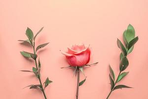 bloemen samenstelling. roos bloemen en eucalyptus takken Aan roze achtergrond. vlak leggen, top visie, kopiëren ruimte. foto