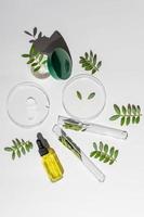 top visie van Petri gerechten met groen planten, pot met gezicht riem en schoonheid olie in fles druppelaar. concept van de Onderzoek en creëren cosmetica, bio laboratorium concept. extraheren kruiden ingrediënten. foto