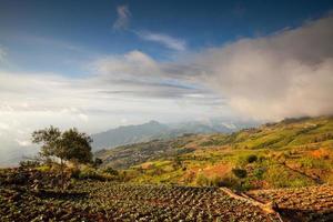 prachtig berglandschap in phutabberk phetchabun, thailand foto