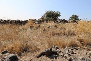 katzrin Israël oktober 1, 2019. gamla is een oude Joods stad Aan de western helling van de golan hoogten. foto