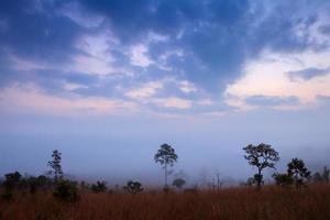 nevelig ochtend- zonsopkomst in berg met wolk Bij thung salang luang nationaal park phetchabun, thailand foto