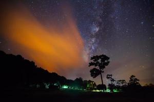 silhouet van boom met wolk licht en melkachtig manier foto