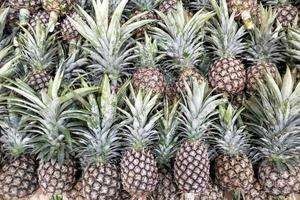 vers ananas in lokaal markt foto