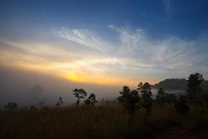 mistige ochtendzonsopgang in berg bij thung salang luang nationaal park phetchabun, thailand foto