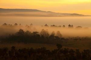 mistige ochtendzonsopgang in berg bij thung salang luang nationaal park phetchabun, thailand foto