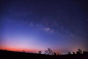 silhouet van boom en prachtige melkweg op een nachtelijke hemel. foto met lange sluitertijd.
