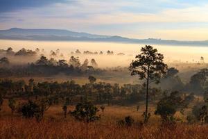 landschap mist in ochtend- zonsopkomst Bij thung salang luang nationaal park phetchabun, tung jargon luang is grasland savanne in Thailand foto