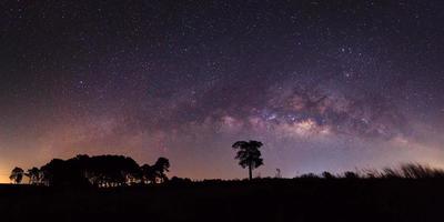 panorama silhouet van boom en melkachtig manier. lang blootstelling fotograaf. foto