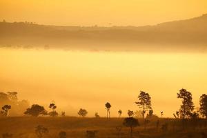 mistige ochtendzonsopgang in berg bij thung salang luang nationaal park phetchabun, thailand foto