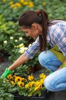 jonge vrouw tuinieren in kas. foto