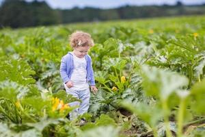 grappig meisje in courgette veld op boerderij op herfstdag foto