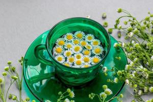 madeliefje in een groene kop met een schotel omringd door bloemen. zomer, warm. mooie foto