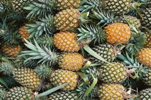 ananas achtergrond, tropisch fruit sappig in Thailand foto