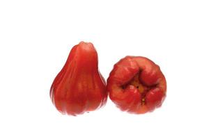 twee roos appel geïsoleerd Aan de wit achtergrond, thais fruit foto