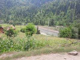 Kasjmir is de meest mooi regio in de wereld welke is beroemd voor haar groen valleien, mooi bomen, hoog bergen en vloeiende veren. foto