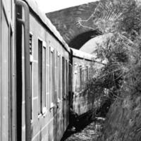 speelgoed- trein in beweging Aan berg helling, mooi visie, een kant berg, een kant vallei in beweging Aan spoorweg naar de heuvel, tussen groen natuurlijk bos.speelgoed trein van kalka naar shimla in india-zwart en wit foto