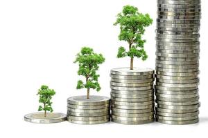 economisch groei concept met aambeien van munten en boom Aan wit achtergrond foto
