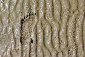 voet prints Aan een klei strand foto