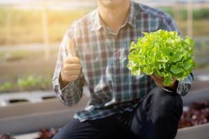 jonge aziatische man boer houdt en toont verse biologische groene eiken sla en gebaar duimen omhoog in boerderij, productie en teelt voor oogstlandbouw groente met zakelijk, gezond voedselconcept. foto