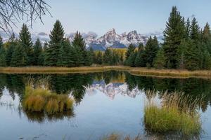 schwabachers landen in eland Wyoming in de buurt de groots teton berg reeks foto