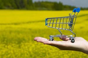 een shopper karretje, een boodschappen doen mand, staat in de palm van de hand- tegen de backdrop van een helder bloeiend koolzaad veld. kopiëren ruimte. foto