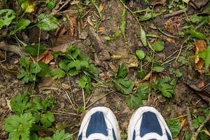 vrouw voeten in blauw sport schoenen Aan grond met gras foto