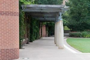 de bossen, Texas, Verenigde Staten van Amerika - 11 juli, 2021. wijnstokken beklimming omhoog een pergola Bij stad- groen park. foto