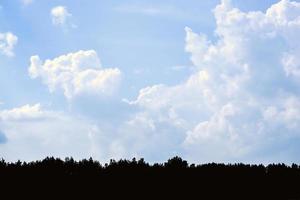 Woud bomen silhouetten landschap Aan blauw lucht achtergrond met wit wolken over- het foto