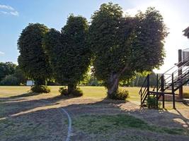 antenne visie van krekel grond Bij lokaal openbaar park van hemel hennepstad Engeland Super goed Brittannië foto