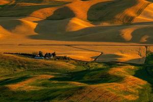 visie van stiefteen butte in de palouse regio, Washington staat Verenigde Staten van Amerika foto