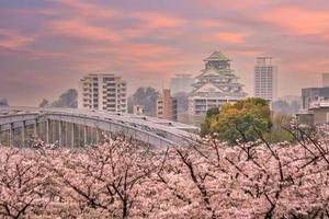 schemering Bij Osaka kasteel gedurende kers bloesems seizoen foto