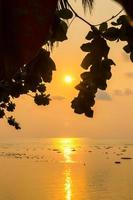 natuurlijk silhouet van een zee visie Bij zonsondergang met bomen ingelijst in oranje tonen, niemand, kopiëren ruimte. foto