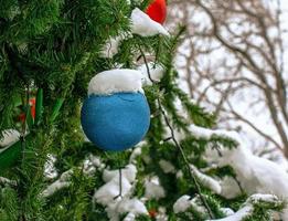 een blauw Kerstmis bal blijft hangen Aan een met sneeuw bedekt Afdeling van een Kerstmis boom Aan een feestelijk achtergrond van wit sneeuw en besneeuwd bokeh met kopiëren ruimte. foto