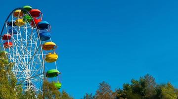 landschap van een pretpark met de top van een reuzenrad dat boven de boomtoppen tegen een blauwe lucht weergeeft. foto