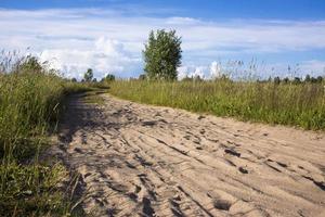 spoor van de hoef van het paard op de zandweg in het bos foto