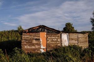 oud midwesten schuur in veld- met Open lucht foto