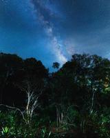 nacht tafereel melkachtig manier achtergrond, bomen tegen lucht Bij nacht foto