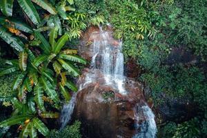 waterval in tropisch bos, waterval in oerwoud foto