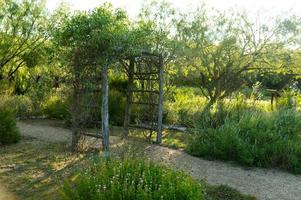 handelen natuur centrum vlinder graden foto