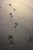 menselijk voetafdruk Aan zand zomer tropisch strand Bij zonsopkomst achtergrond met kopieerruimte. foto