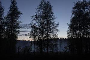 Woud Bij nacht. mist Aan meer. natuur in vroeg ochtend. foto