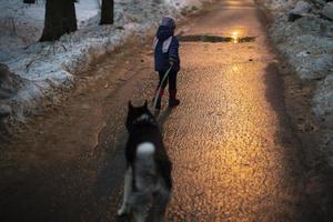 kind wandelingen hond Bij nacht. meisje houdt hond in lucht. foto