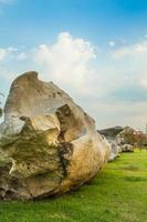 rots en boom landschap foto