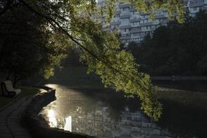 park Bij ochtendgloren. in de buurt stad meer. groen in zomer in stad. foto