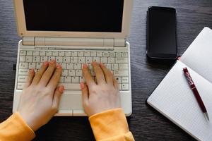 modern zakenvrouw werken Aan laptop. werkruimte in kantoor Bij bureau. foto